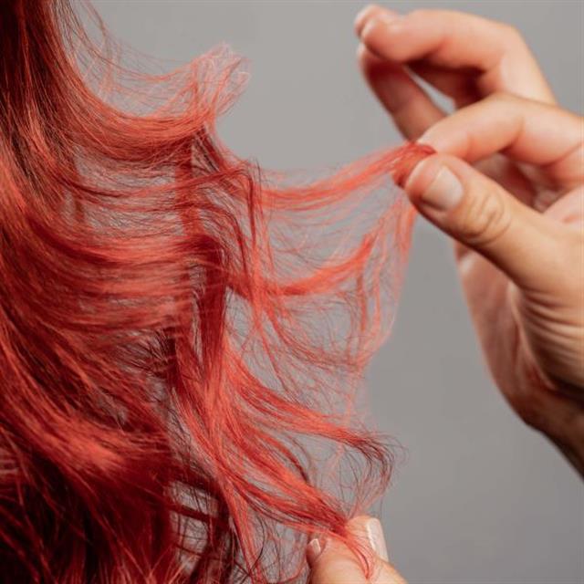 Image for Seminar: Master Styling Program